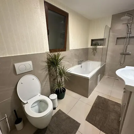 Schei House Apartment Brasov