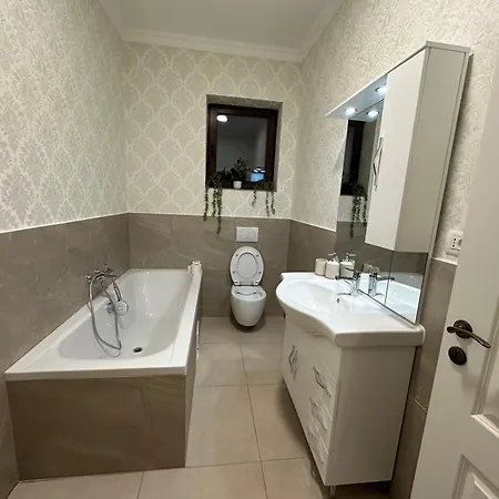 Apartment Schei House Brasov