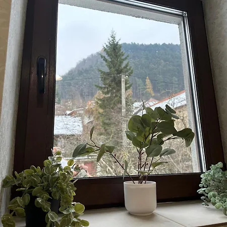 Schei House